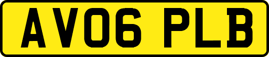 AV06PLB