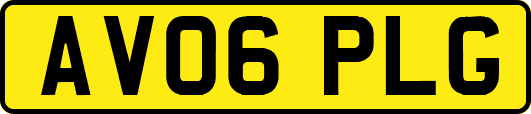 AV06PLG