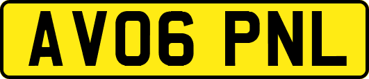 AV06PNL