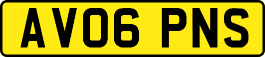AV06PNS