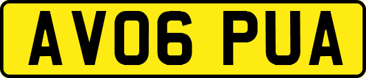 AV06PUA