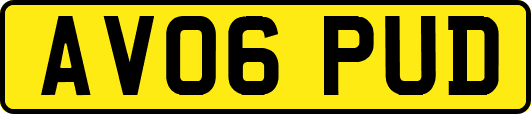 AV06PUD