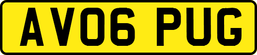 AV06PUG