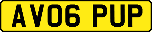AV06PUP