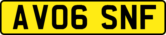 AV06SNF