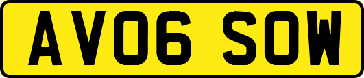 AV06SOW