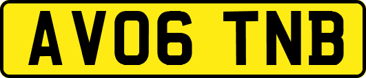 AV06TNB