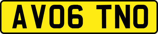 AV06TNO