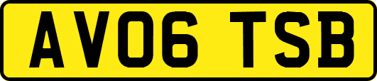 AV06TSB