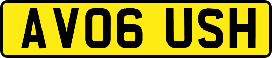 AV06USH