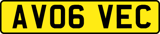 AV06VEC