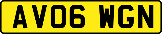 AV06WGN