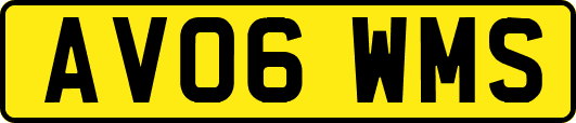 AV06WMS