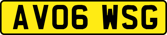 AV06WSG