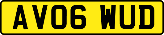 AV06WUD
