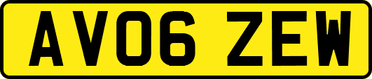 AV06ZEW