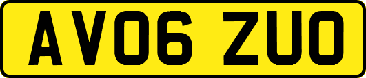AV06ZUO