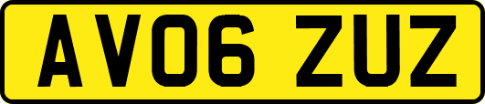 AV06ZUZ