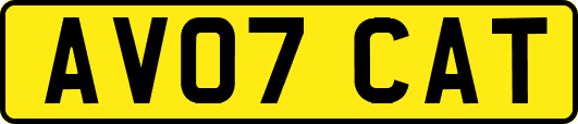 AV07CAT