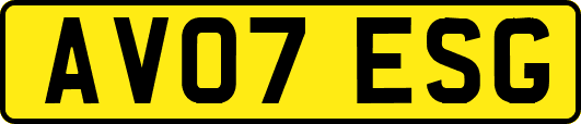 AV07ESG