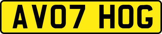 AV07HOG