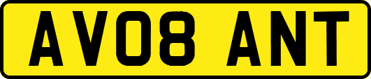 AV08ANT