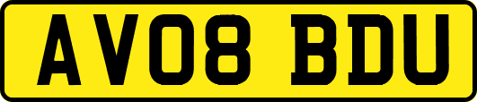 AV08BDU