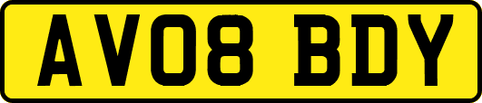 AV08BDY