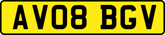 AV08BGV