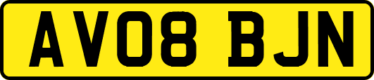 AV08BJN