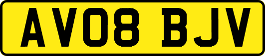 AV08BJV