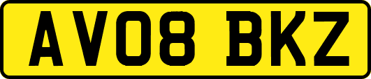 AV08BKZ