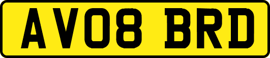 AV08BRD