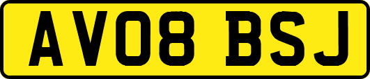 AV08BSJ
