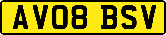 AV08BSV