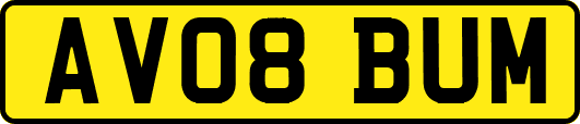 AV08BUM