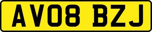 AV08BZJ