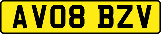 AV08BZV