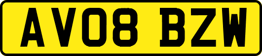 AV08BZW