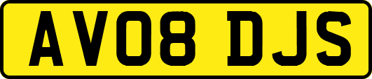 AV08DJS