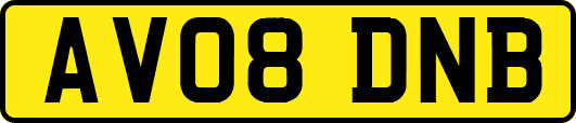 AV08DNB