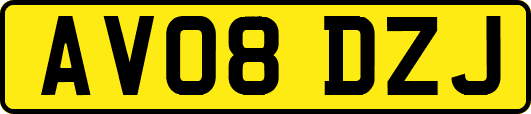 AV08DZJ