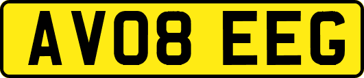 AV08EEG