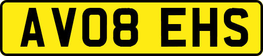 AV08EHS