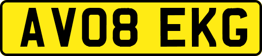 AV08EKG