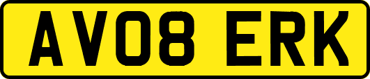 AV08ERK