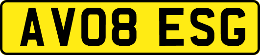 AV08ESG