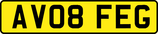 AV08FEG