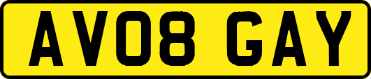 AV08GAY