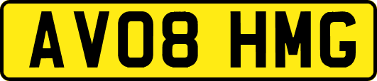 AV08HMG